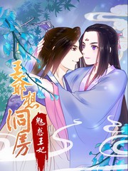 王爷想洞房：魅惑王妃