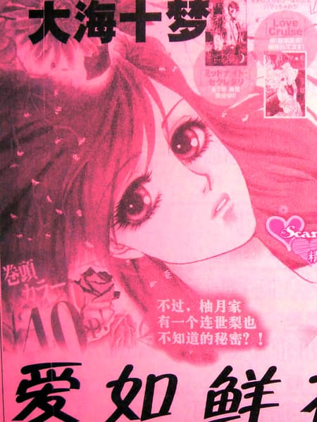 爱如鲜花般盛开