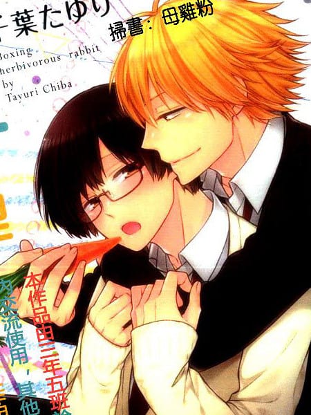 箱子里的草食兔